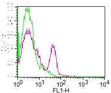 Monoclonal Antibody to CD19 (clone: AE1) FITC Conjugated